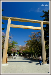 靖国神社 2