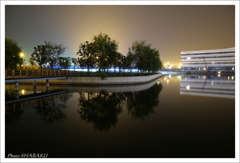 水辺の夜景 1