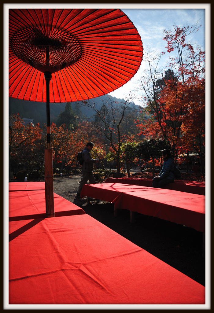 秋、紅日