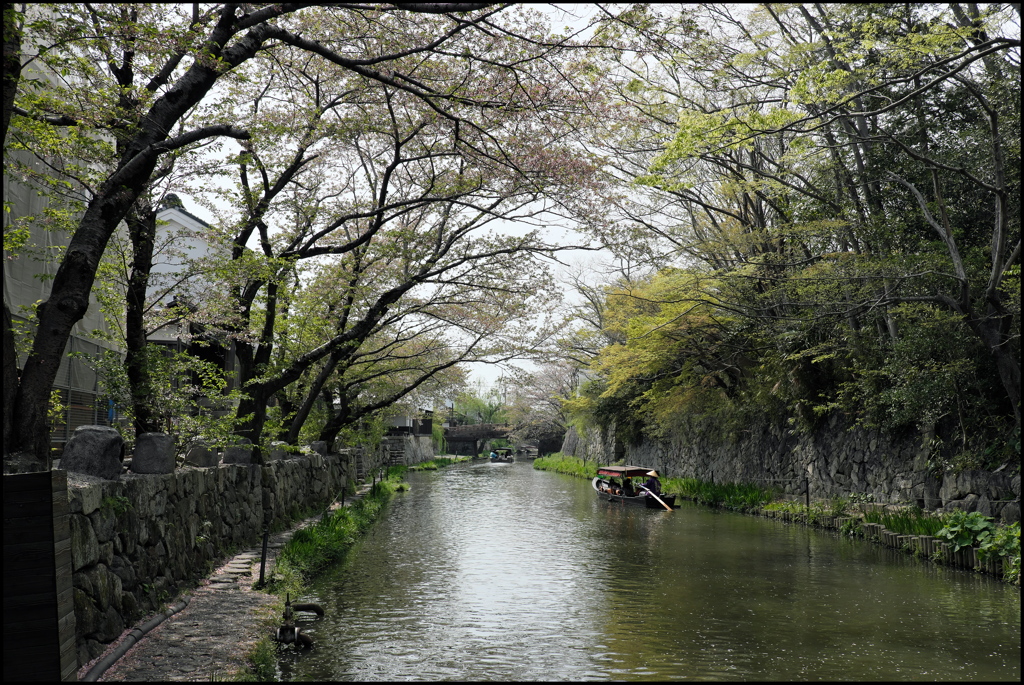 春の水郷