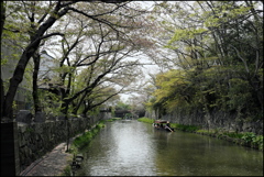 春の水郷