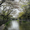 春の水郷