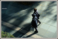 師走を歩く