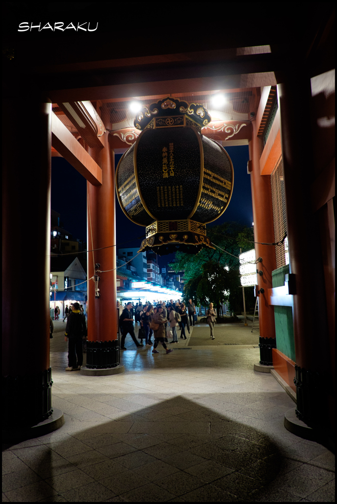 夜も賑やか