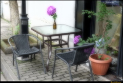 紫陽花のあるカフェ