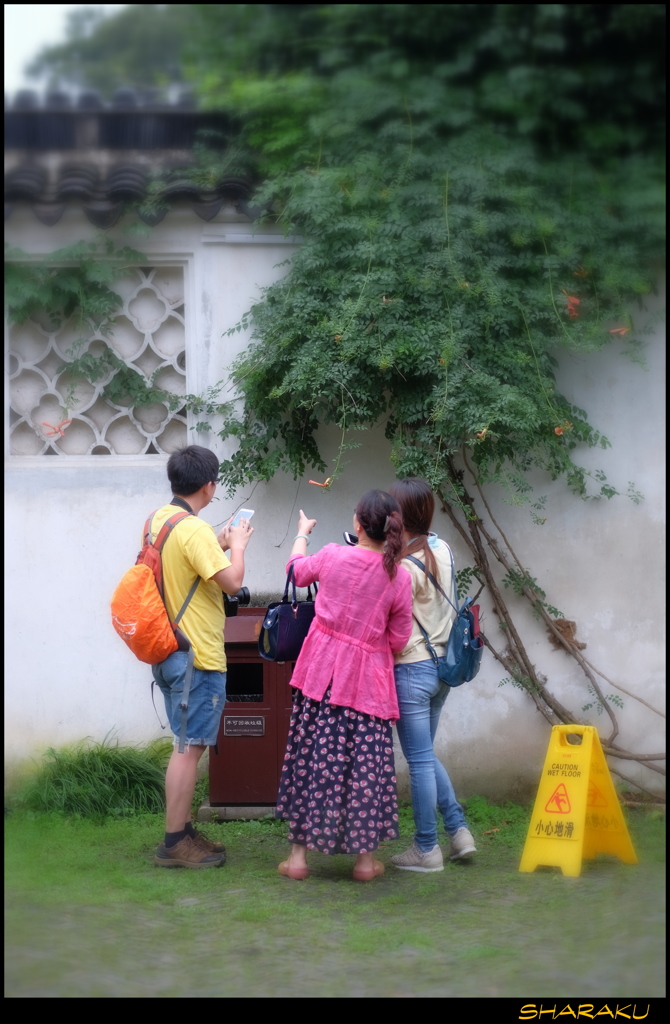 「ほら、見て！」
