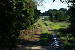 農村の風景⑦