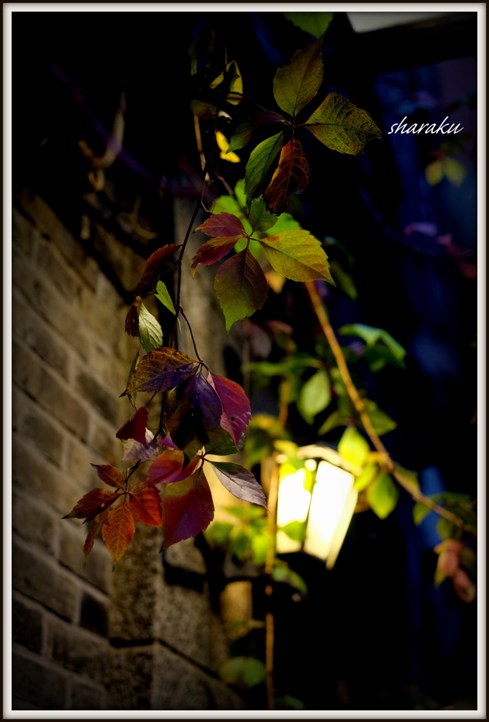 Shanghai - 7