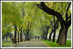 北京-天壇公園 1