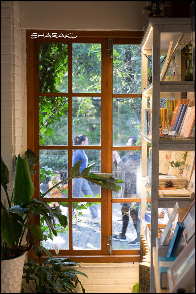 Window