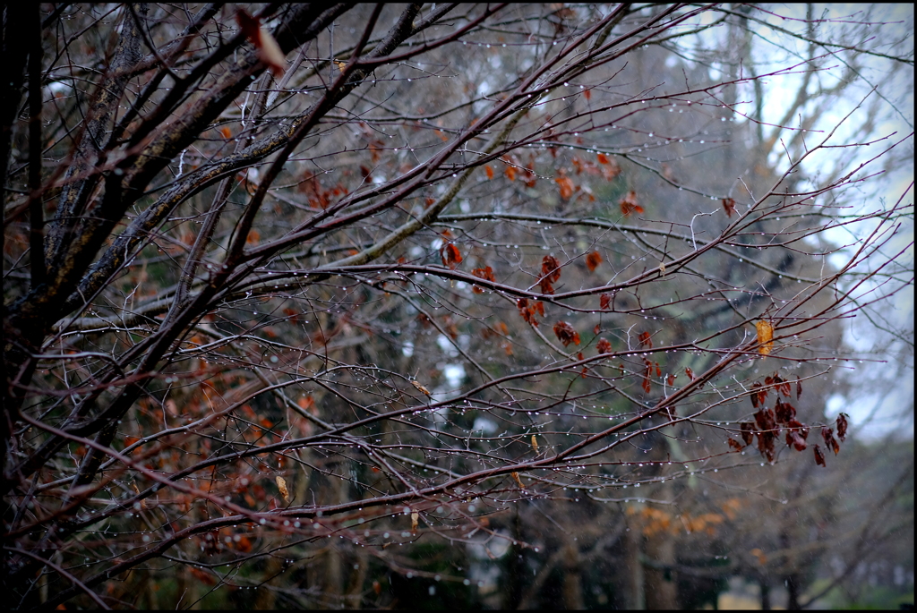 雨滴