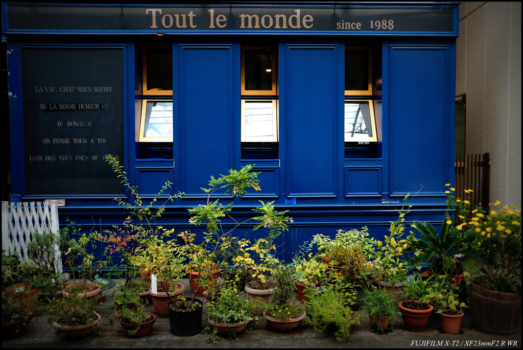 Tout le monde