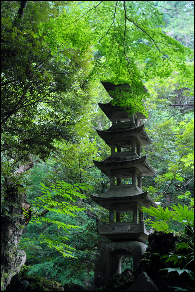 成田山 新勝寺 ⑤