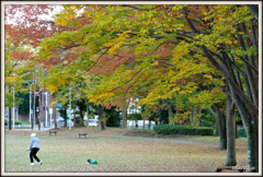 11月の散歩道 ⑥