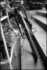 自転車