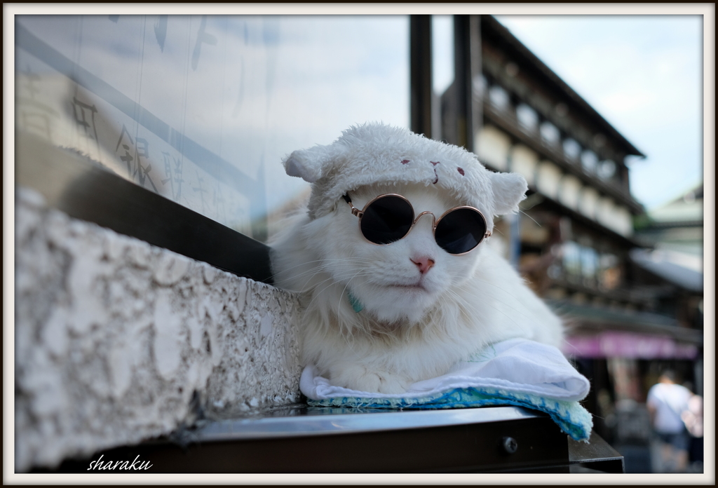 「吾輩は猫である」