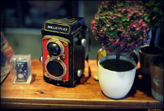 ROLLEIFLEX