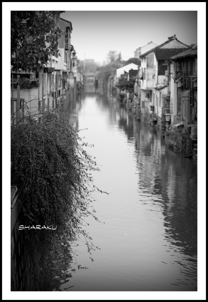 冬の水郷