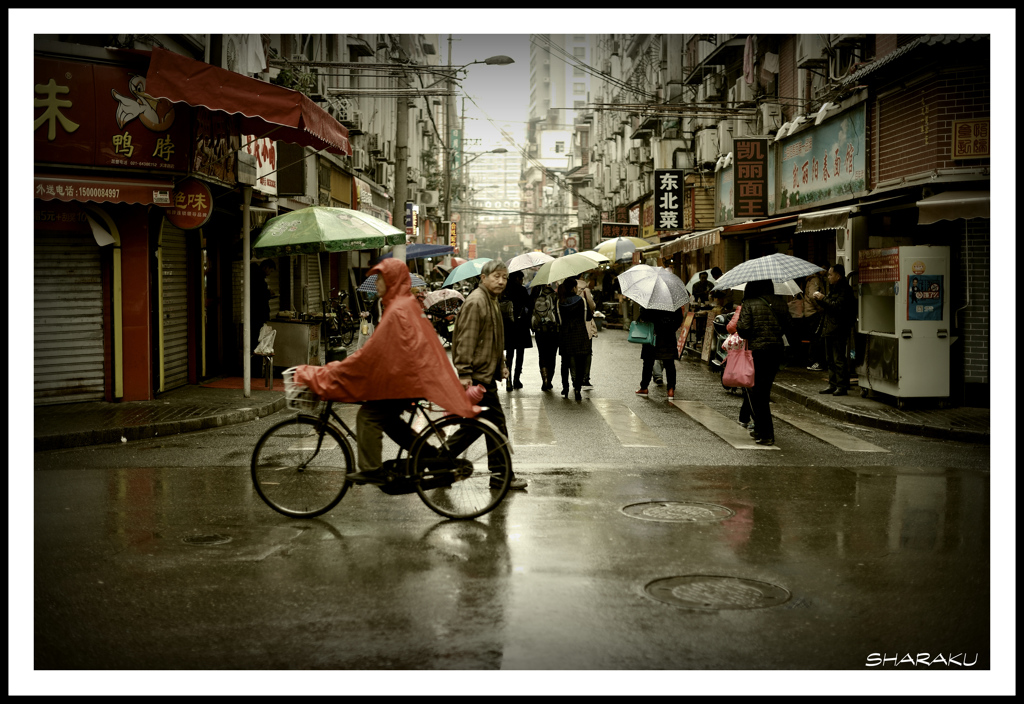 雨の上海③