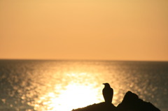 夕暮れ時