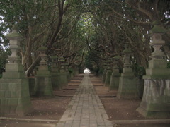 木のトンネル