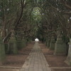 木のトンネル