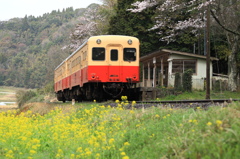 春到来