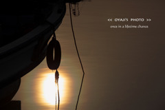 pho-584cop