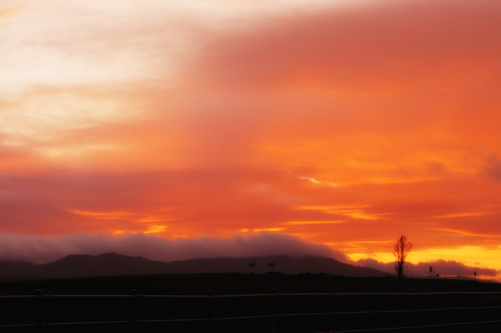 美瑛の夕日