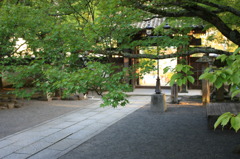 伊豆　修善寺 1