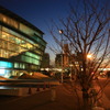 2009 年末