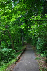山梨　伊奈ヶ湖　２