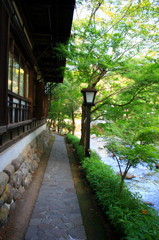 伊豆　修善寺温泉　4