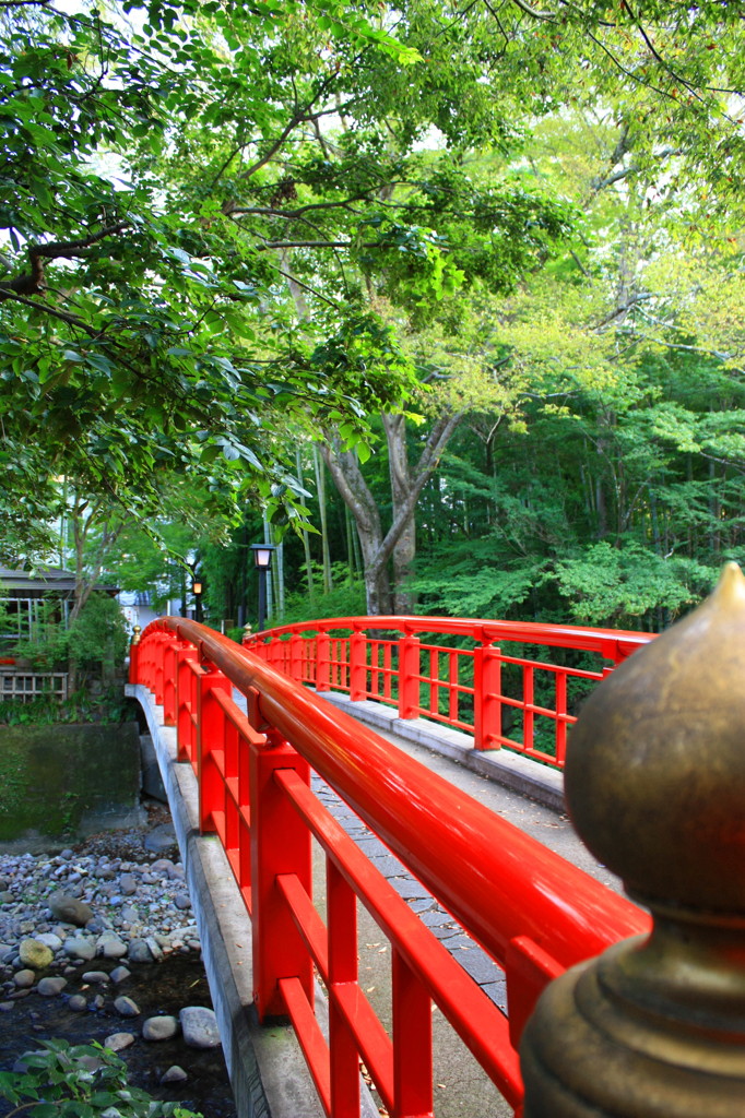 伊豆　修善寺温泉　3