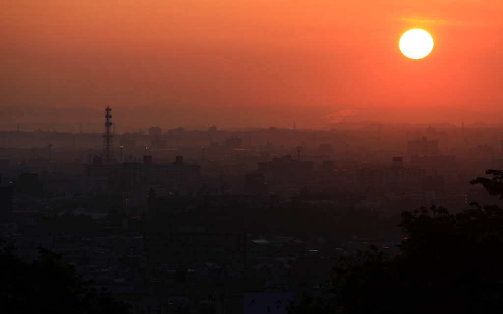 朝。