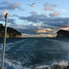 松島 7