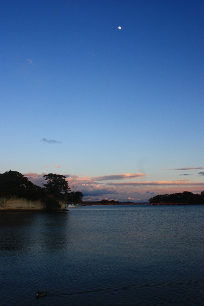 松島 8