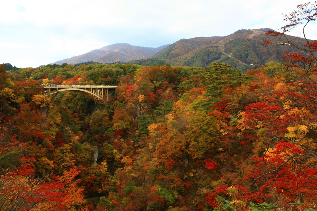 鳴子峡　紅葉