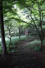道