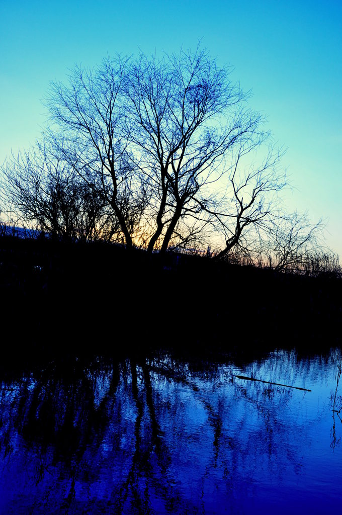 DSC_1859