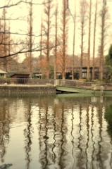 くもりの井の頭公園