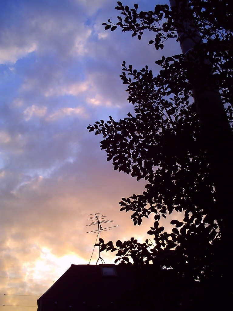 PICT0039