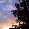 PICT0039