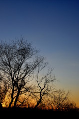 DSC_1857