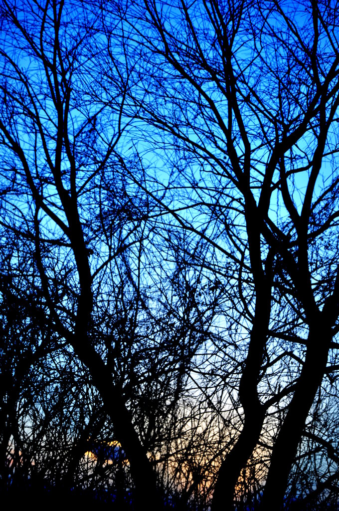 DSC_1867
