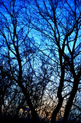DSC_1867