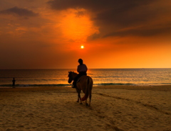 勝浦浜の夕景