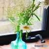 かすみ草と白い花