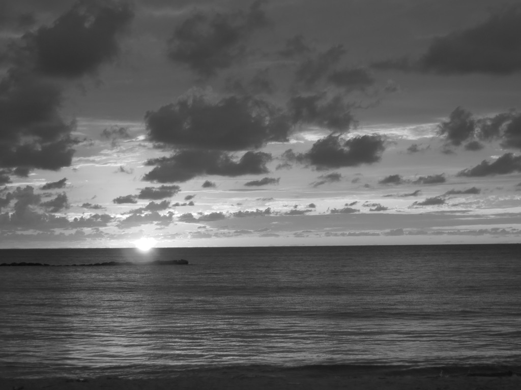 夕日