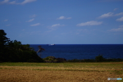 国籍は･･･